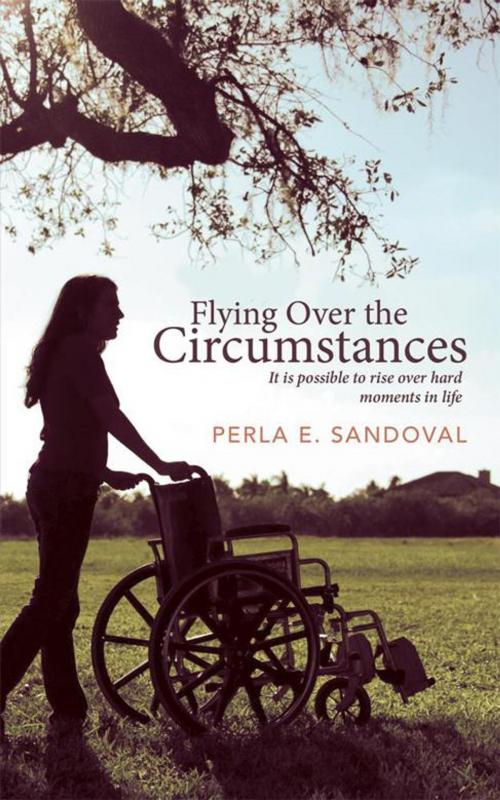 Cover of the book Flying over the Circumstances by Perla E. Sandoval, WestBow Press