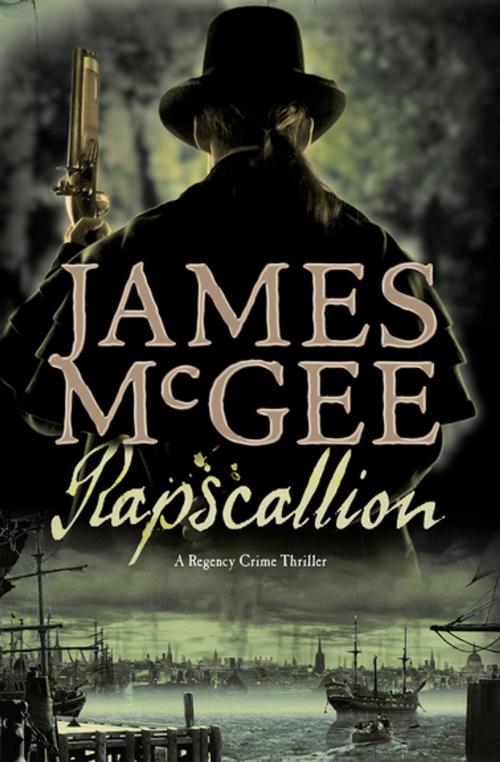 Cover of the book Rapscallion by James McGee, Pegasus Books