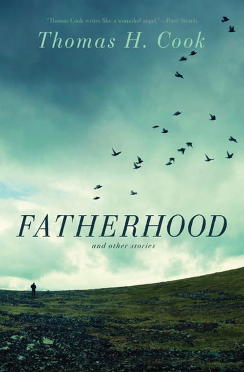 Cover of the book Fatherhood by Thomas H. Cook, Pegasus Books