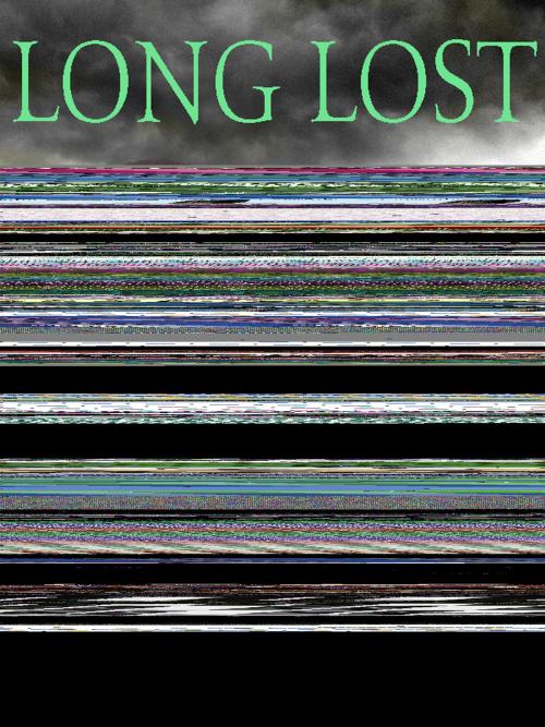 Cover of the book Long Lost by Linda Castillo, St. Martin's Press