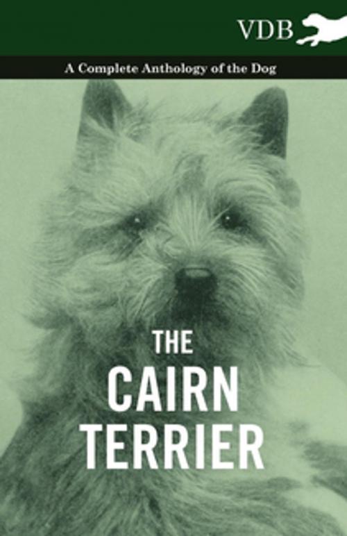 Cover of the book The Cairn Terrier - A Complete Anthology of the Dog - by Various, Read Books Ltd.
