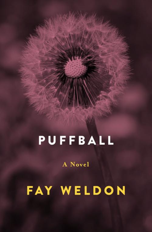 Cover of the book Puffball by Fay Weldon, Open Road Media