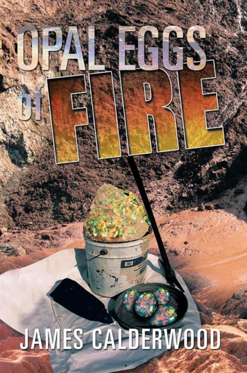 Cover of the book Opal Eggs of Fire by James Calderwood, Xlibris AU