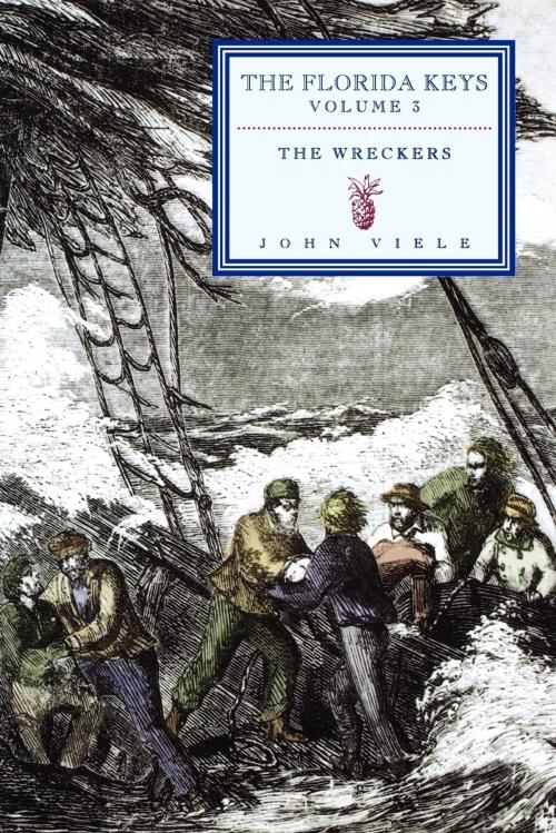 Cover of the book The Wreckers by John Viele, Pineapple Press