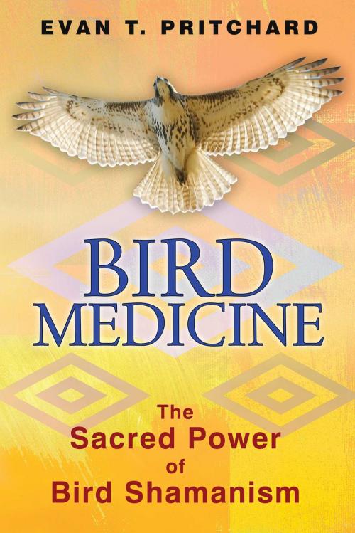 Cover of the book Bird Medicine by Evan T. Pritchard, Inner Traditions/Bear & Company