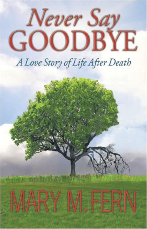 Cover of the book Never Say Goodbye “A Love Story of Life After Death” by Mary M. Fern, Brighton Publishing LLC