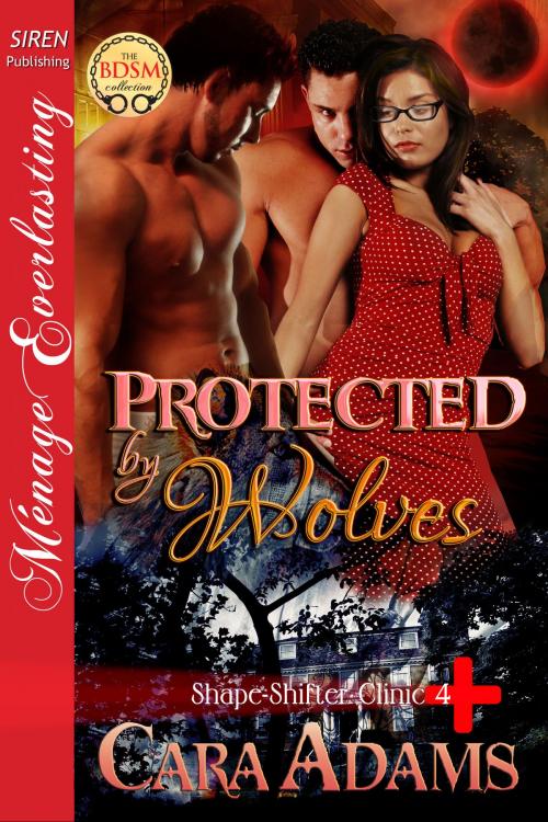 Cover of the book Protected by Wolves by Cara Adams, Siren-BookStrand