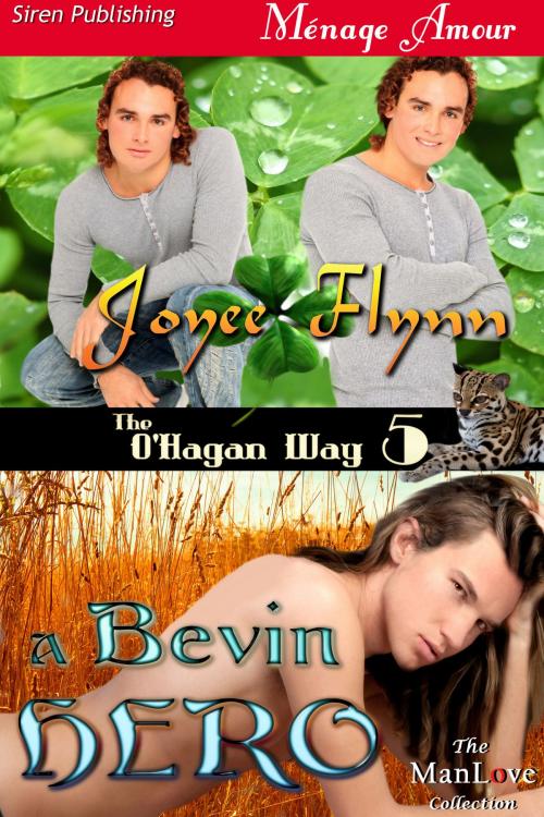 Cover of the book A Bevin Hero by Joyee Flynn, Siren-BookStrand