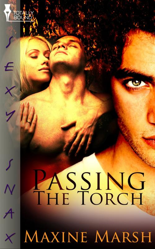 Cover of the book Passing The Torch by Maxine Marsh, Totally Entwined Group Ltd