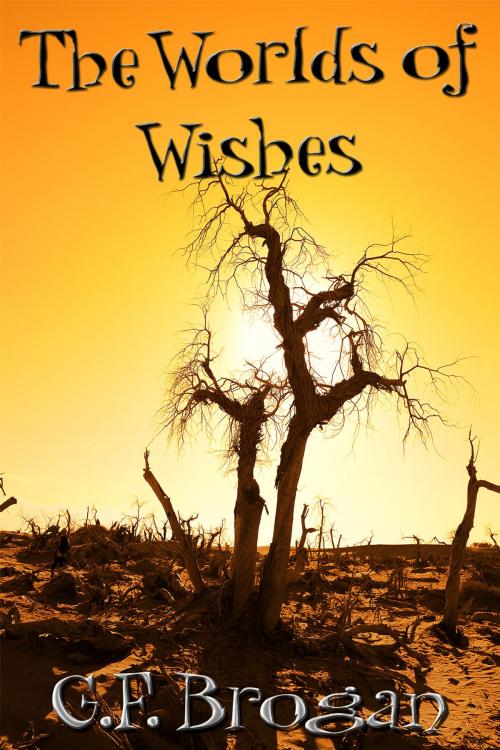 Cover of the book The Worlds of Wishes by G.F. Brogan, Follow What Works LLC