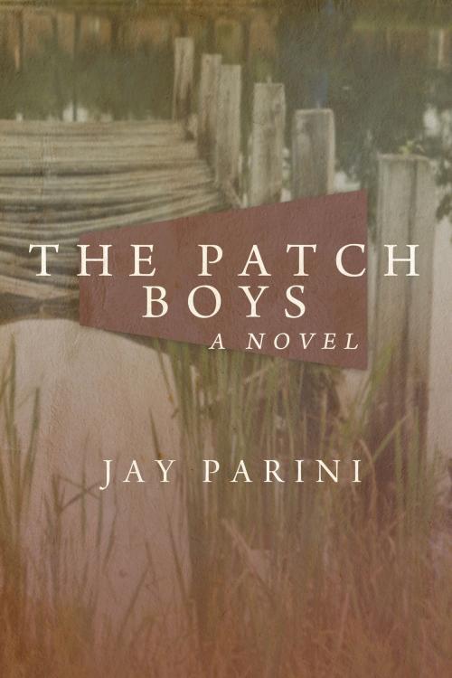 Cover of the book The Patch Boys by Jay Parini, Dzanc Books