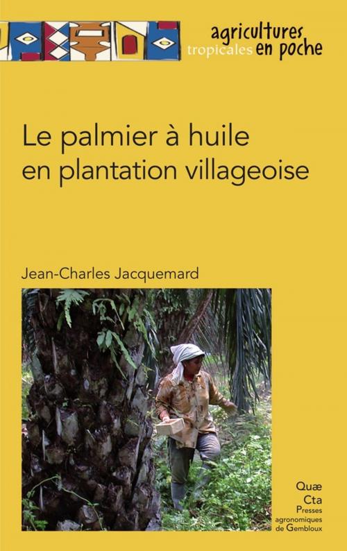 Cover of the book Le palmier à huile en plantation villageoise by Jacquemard Jean-Charles, Quae