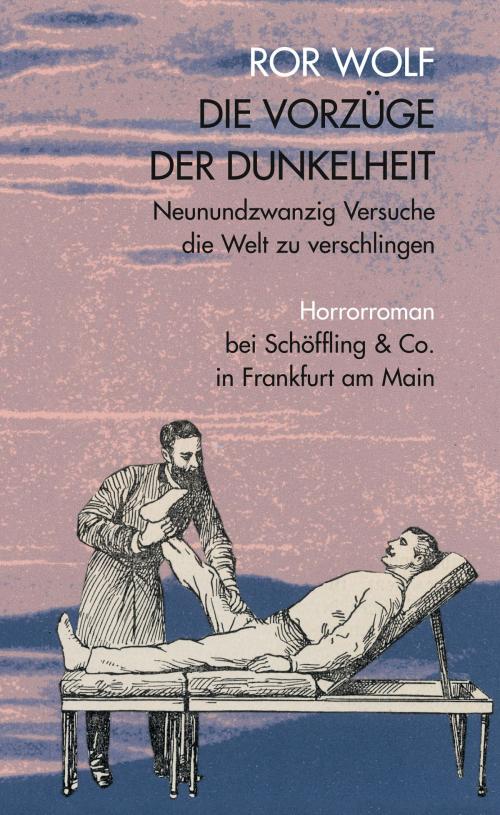 Cover of the book Die Vorzüge der Dunkelheit by Ror Wolf, Schöffling & Co.