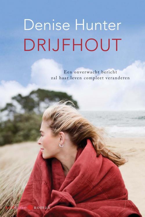 Cover of the book Drijfhout by Denise Hunter, VBK Media