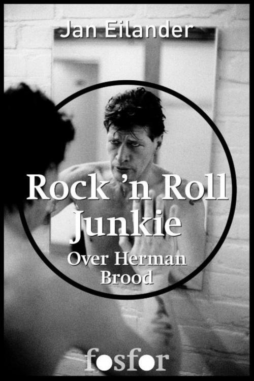 Cover of the book Rock n Roll Junkie by Jan Eilander, Martin Bril, Singel Uitgeverijen