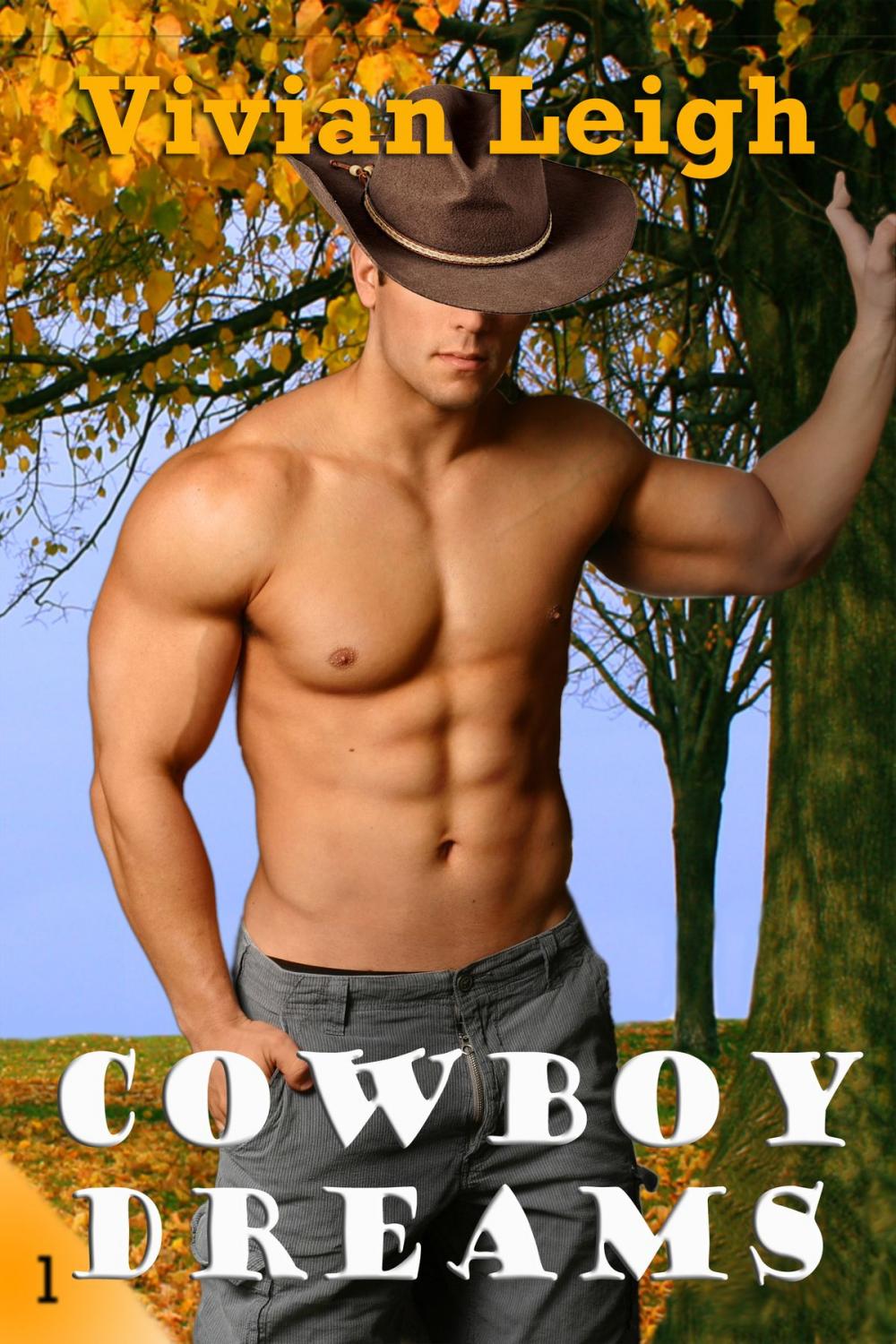 Big bigCover of Cowboy Dreams