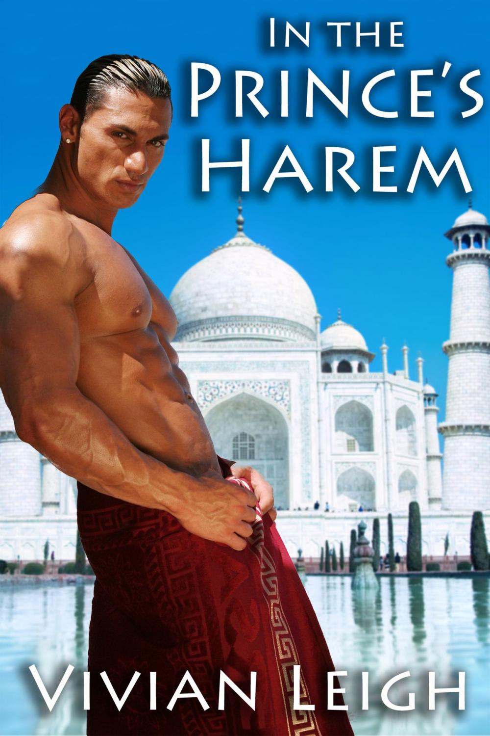 Big bigCover of In the Prince's Harem