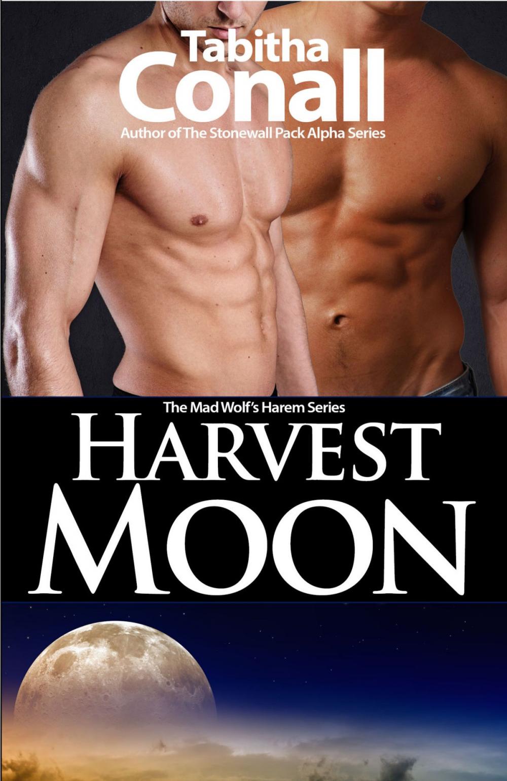 Big bigCover of Harvest Moon