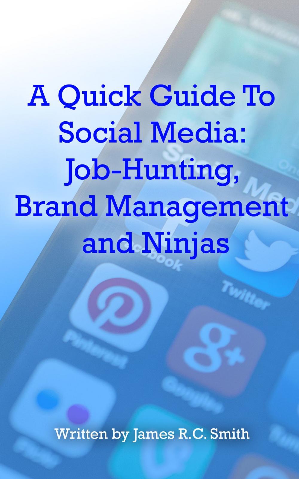 Big bigCover of A Quick Guide To Social Media: Job-Hunting, Brand Management and Ninjas