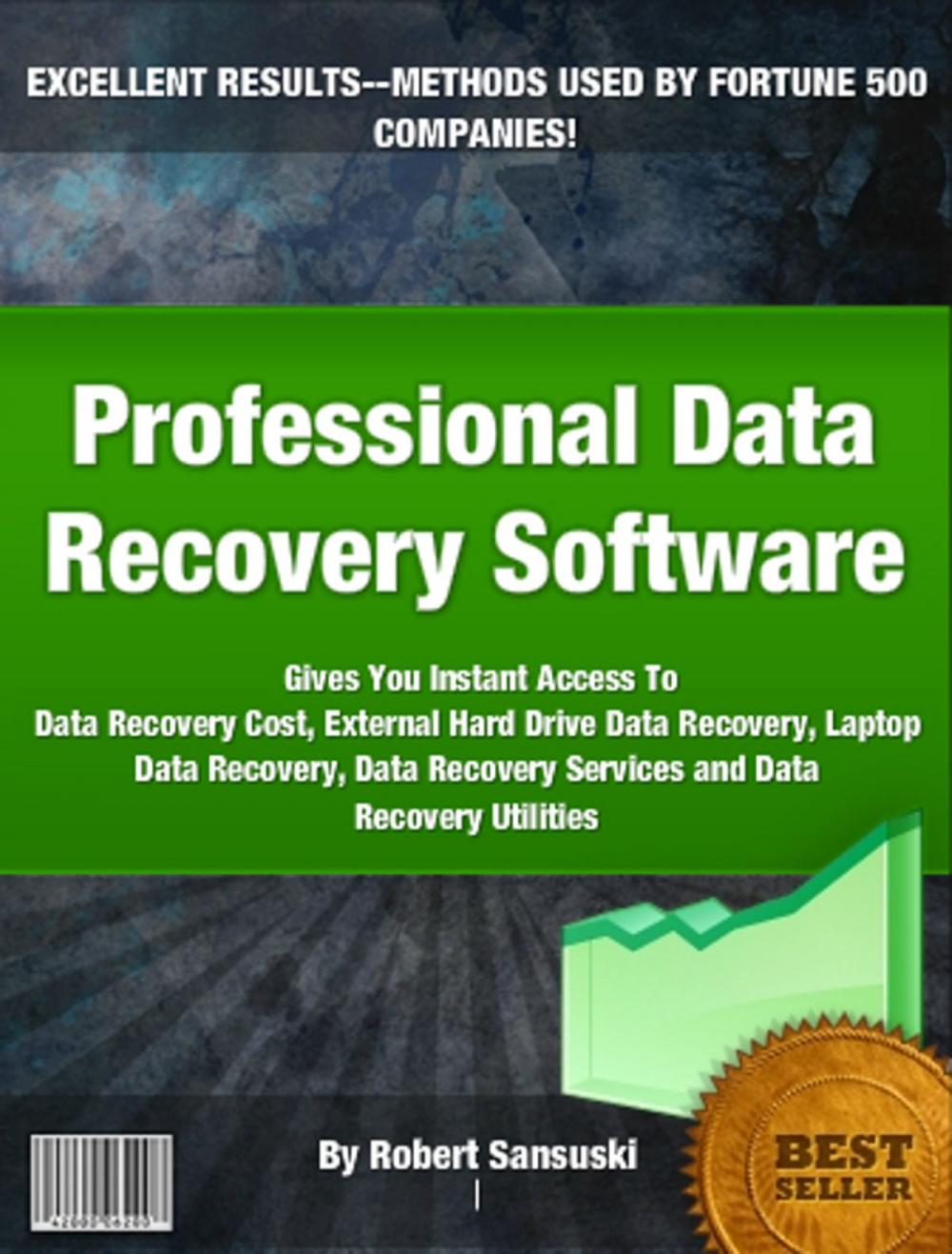 Big bigCover of Professional Data Recovery Software