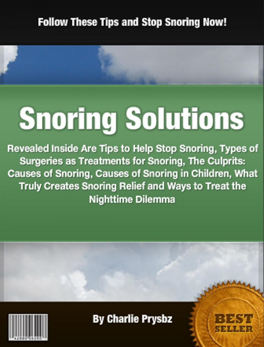 Big bigCover of Snoring Solutions