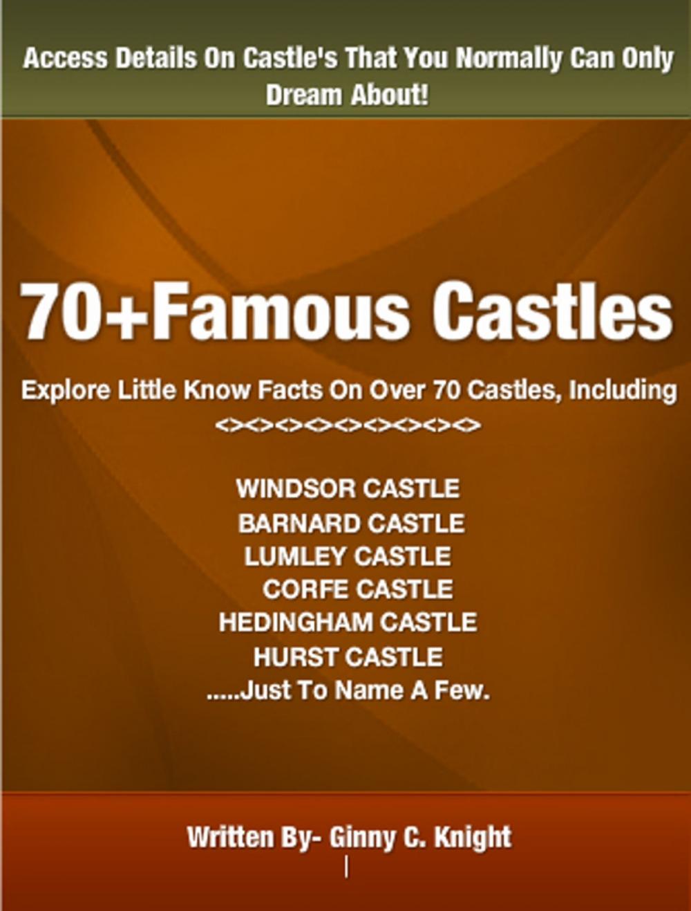 Big bigCover of 70+Famous Castle