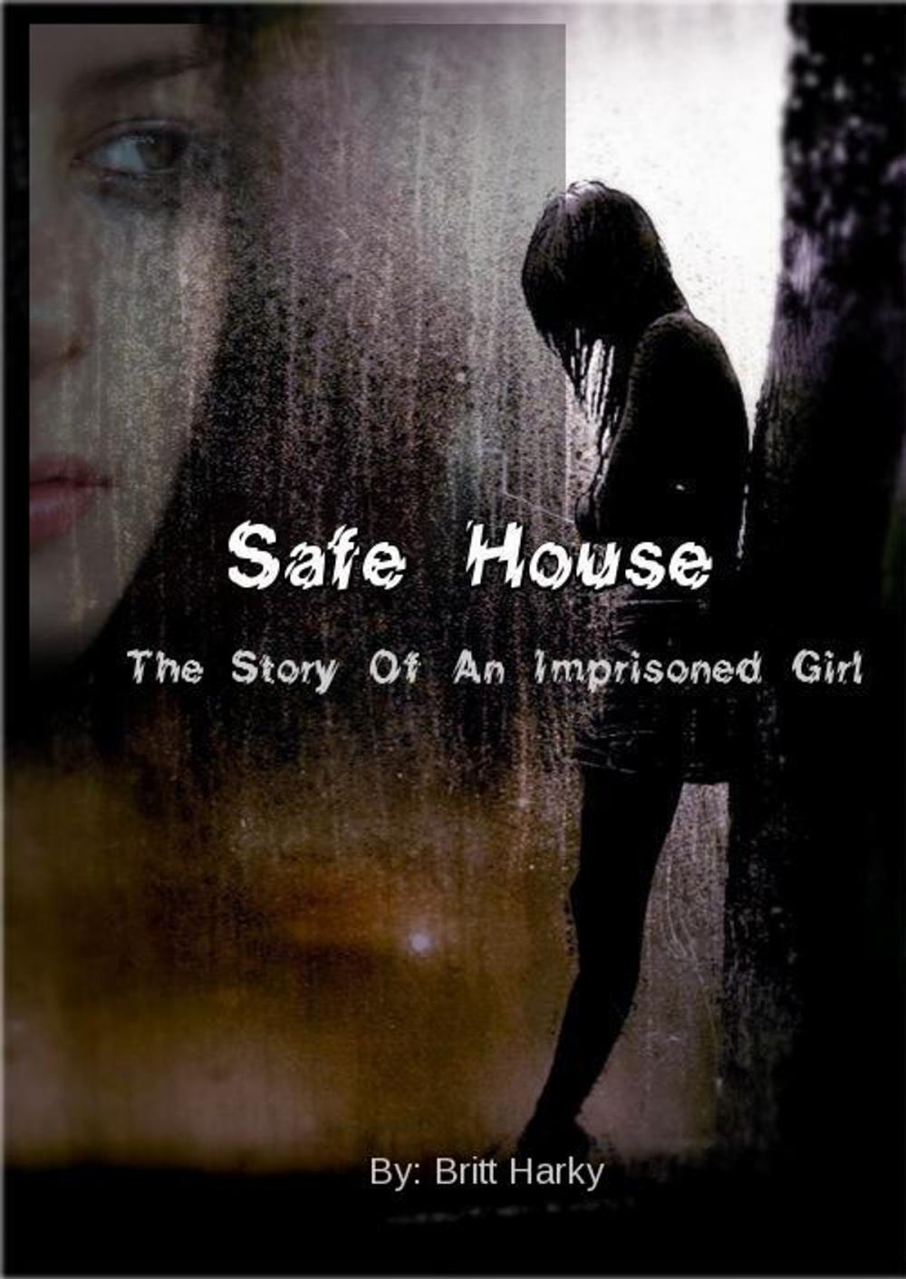 Big bigCover of Safe House