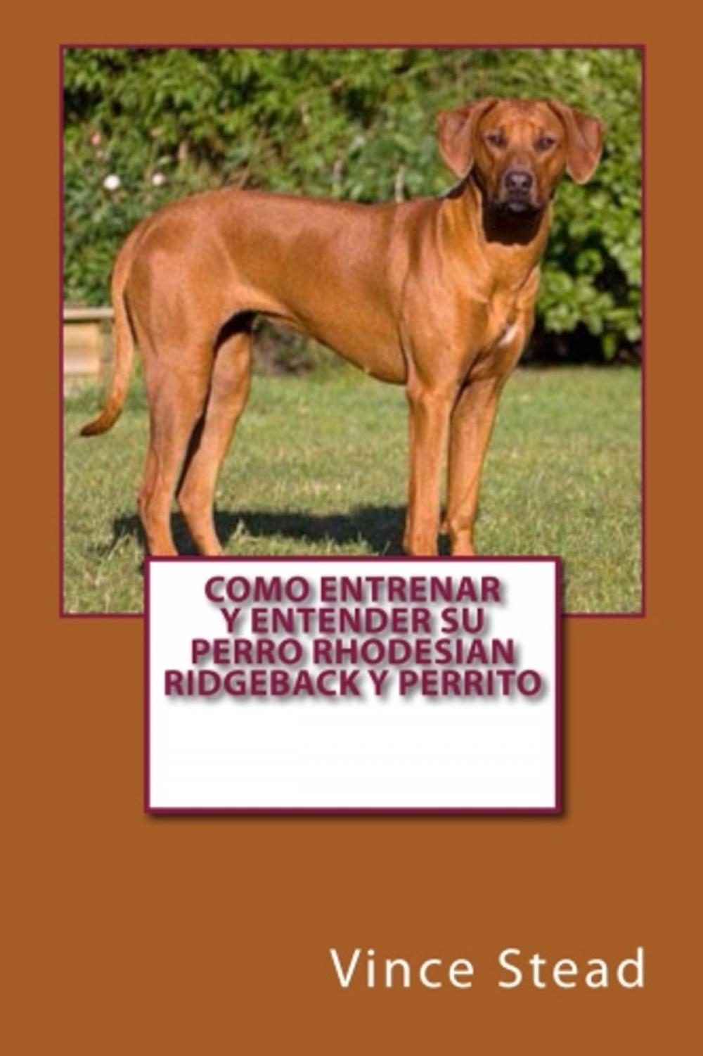 Big bigCover of Como entrenar y entender su perro Rhodesian Ridgeback y perrito