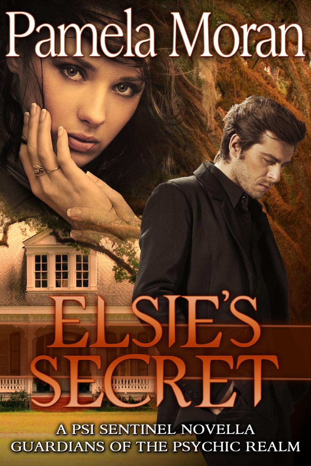 Big bigCover of Elsie's Secret (A PSI Sentinel Novella - Guardians of the Psychic Realm)