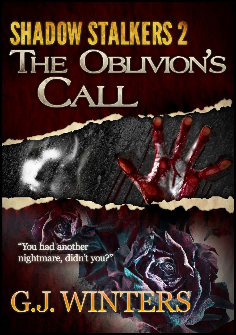 Big bigCover of Shadow Stalkers 2 : The Oblivion's Call