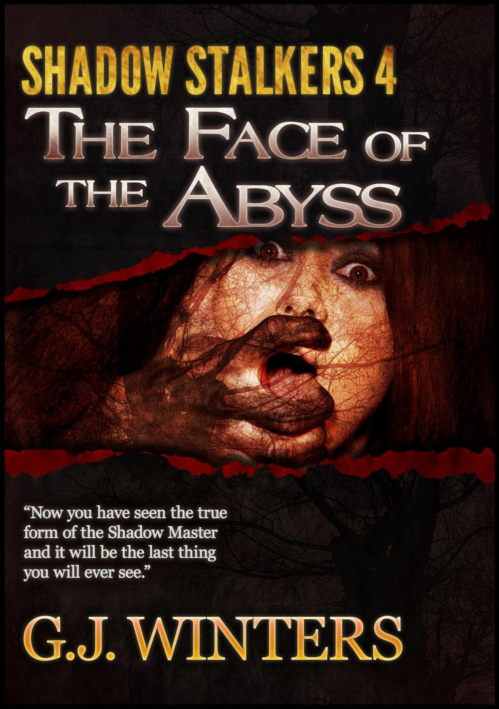 Big bigCover of The Face of The Abyss: Shadow Stalkers 4