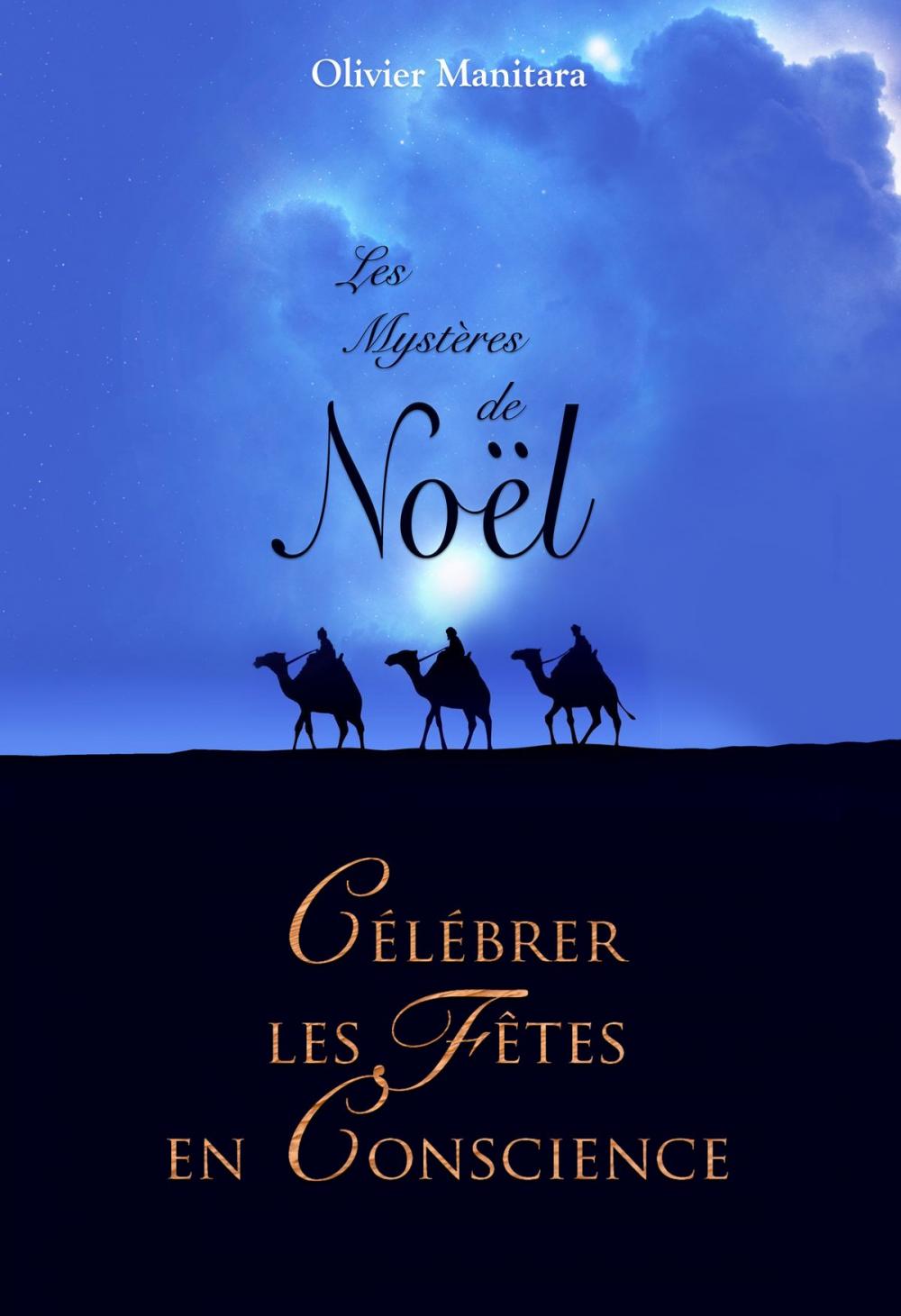 Big bigCover of Les mystères de Noël