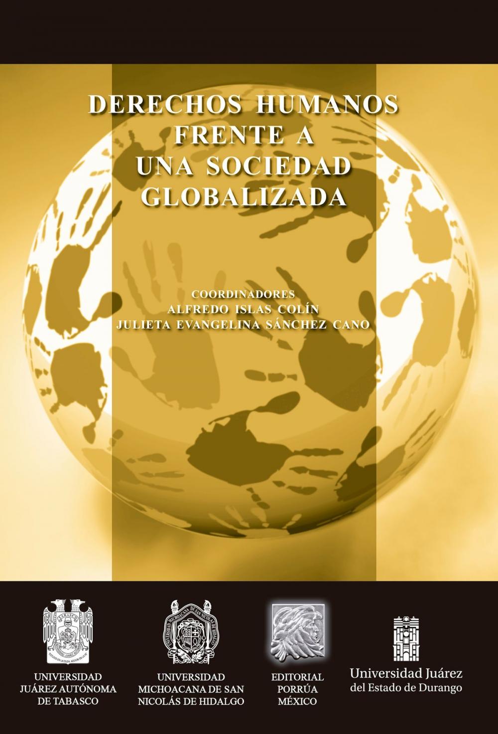 Big bigCover of Derechos humanos frente a una sociedad globalizada