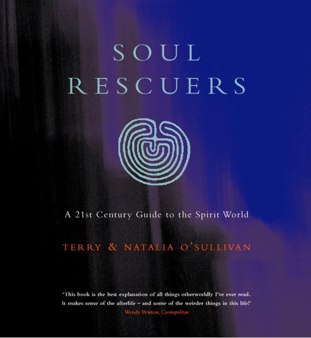 Big bigCover of Soul Rescuers: A 21st century guide to the spirit world