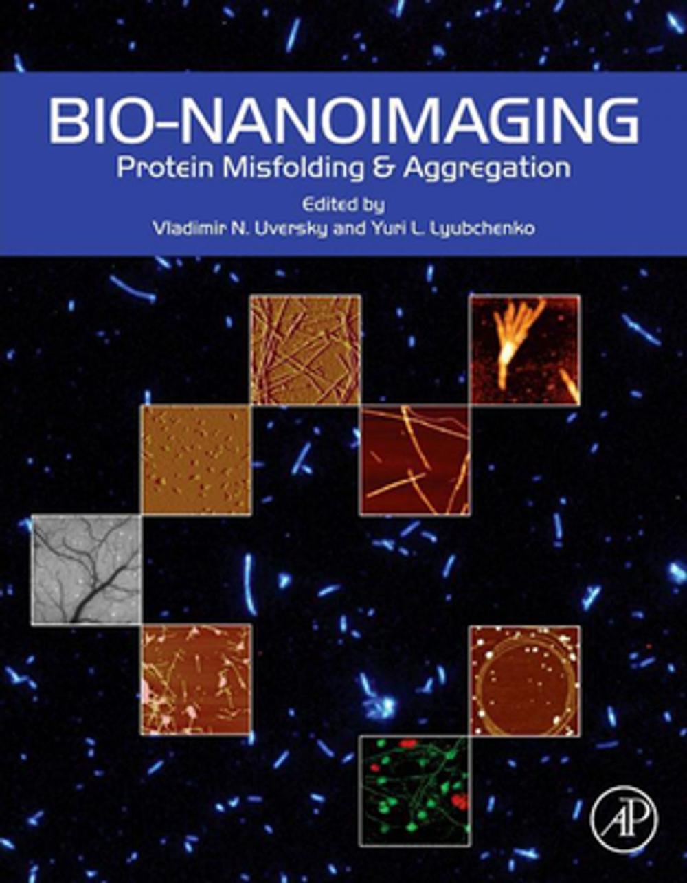 Big bigCover of Bio-nanoimaging