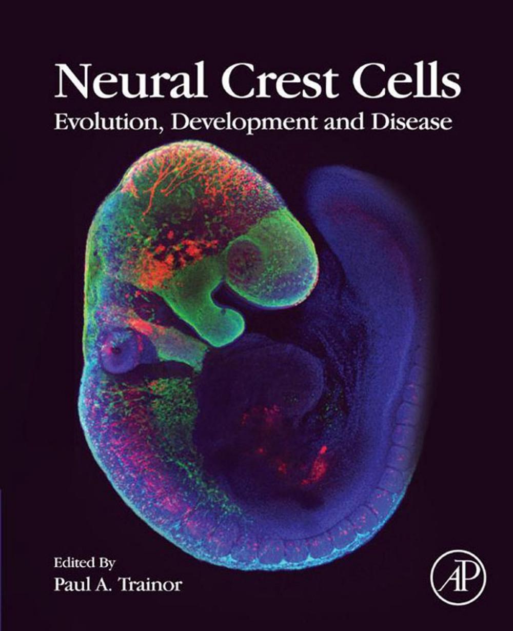 Big bigCover of Neural Crest Cells