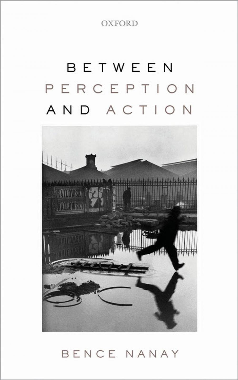 Big bigCover of Between Perception and Action