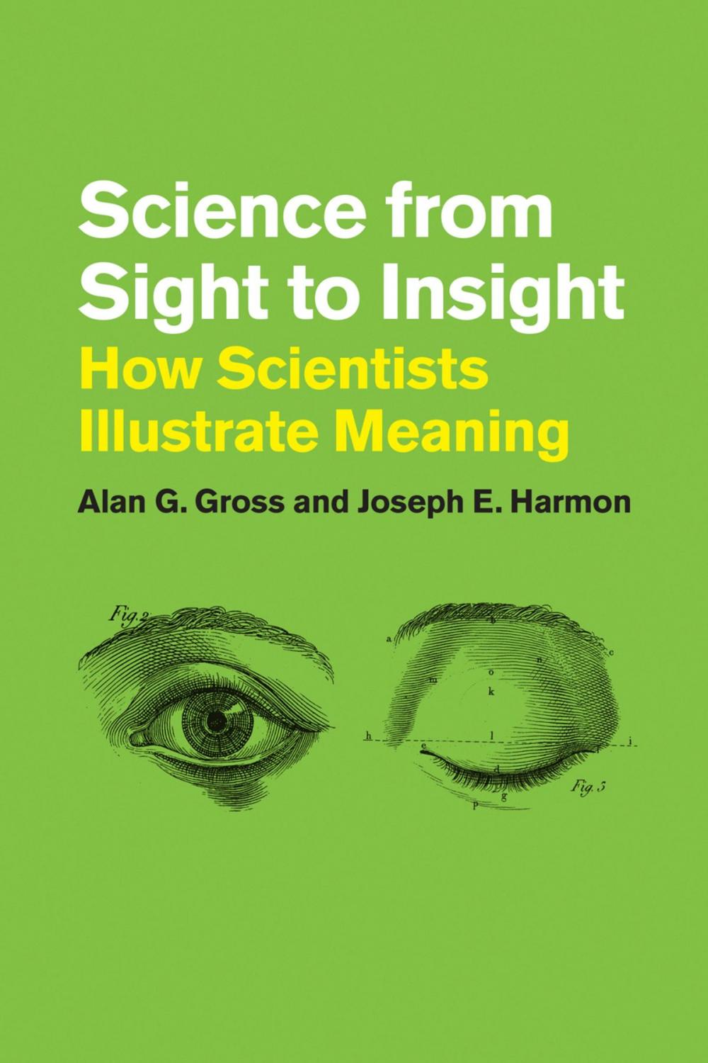 Big bigCover of Science from Sight to Insight