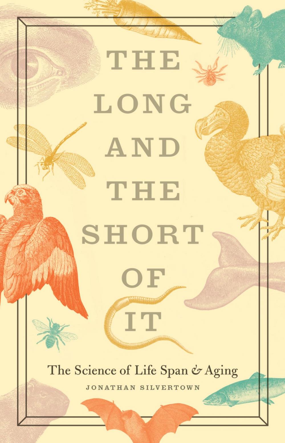 Big bigCover of The Long and the Short of It