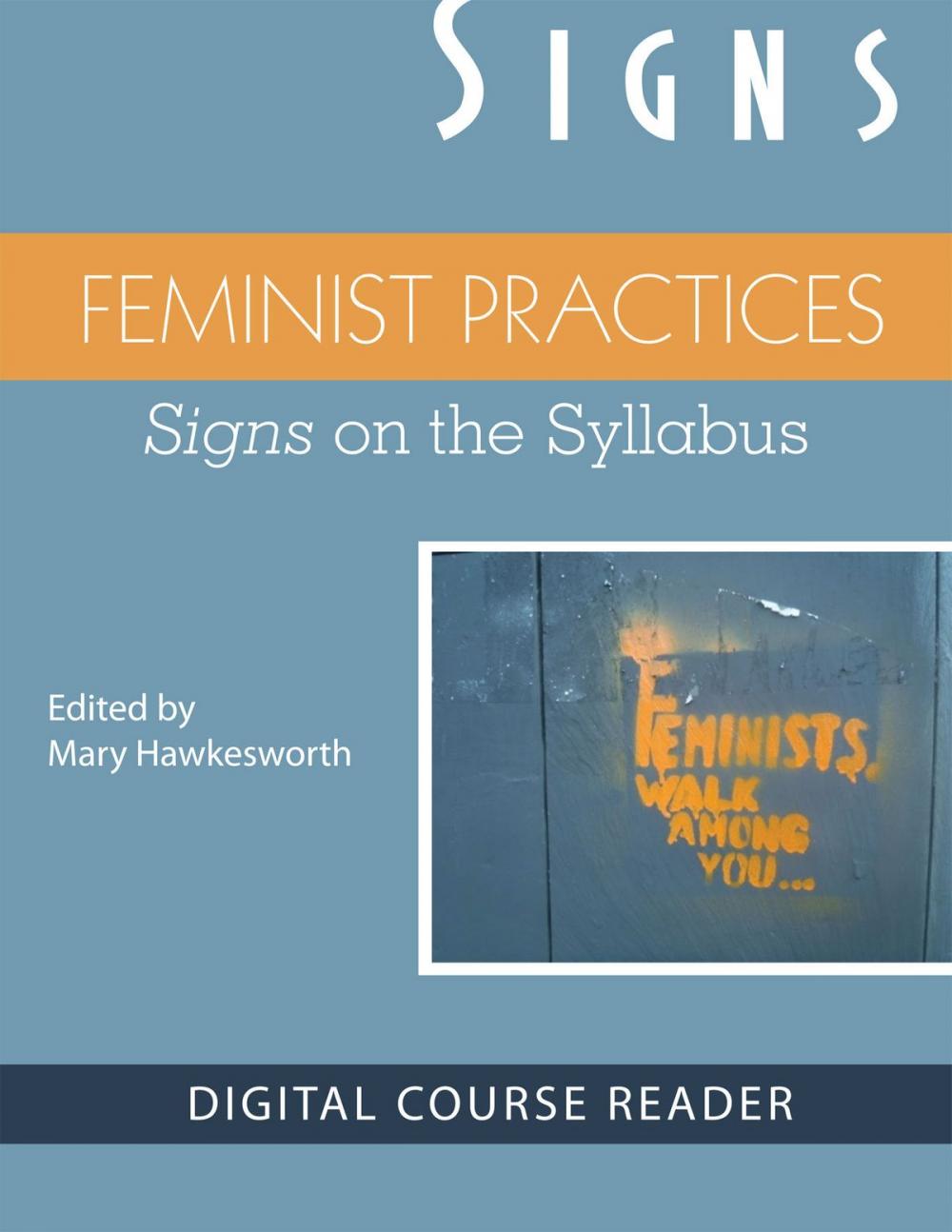 Big bigCover of Feminist Practices