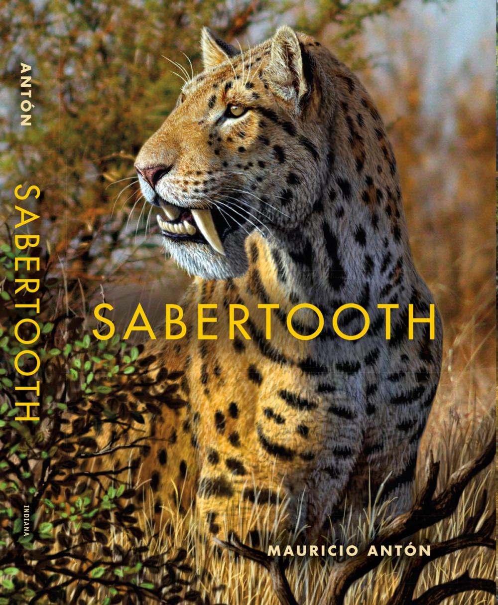 Big bigCover of Sabertooth