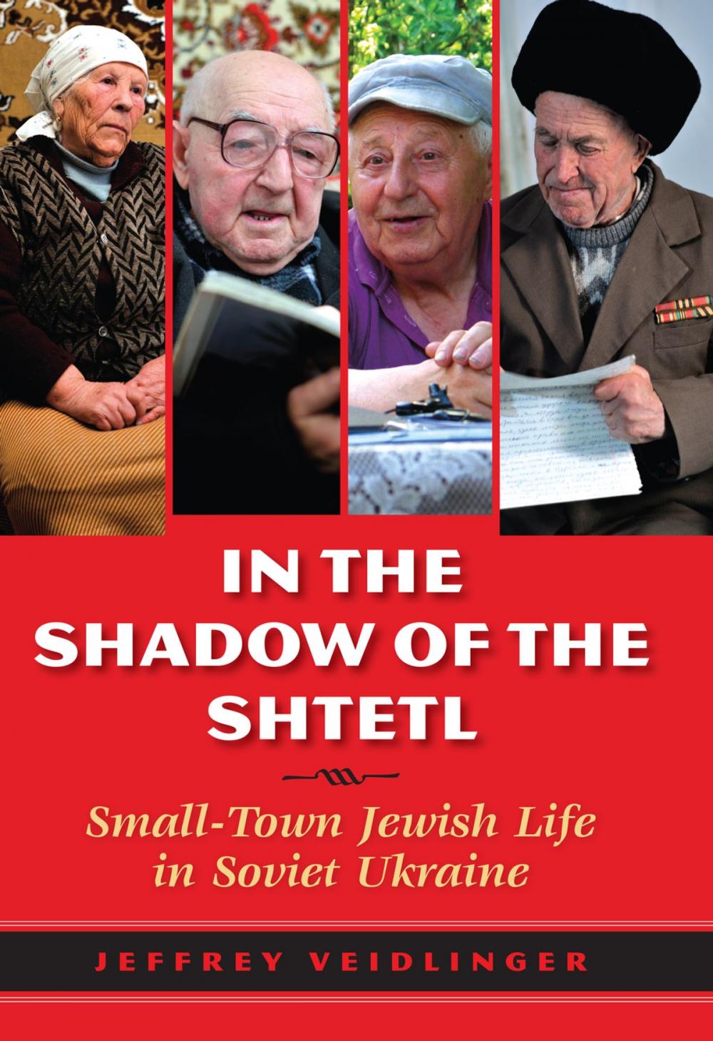 Big bigCover of In the Shadow of the Shtetl