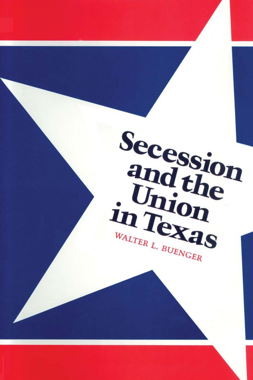 Big bigCover of Secession and the Union in Texas