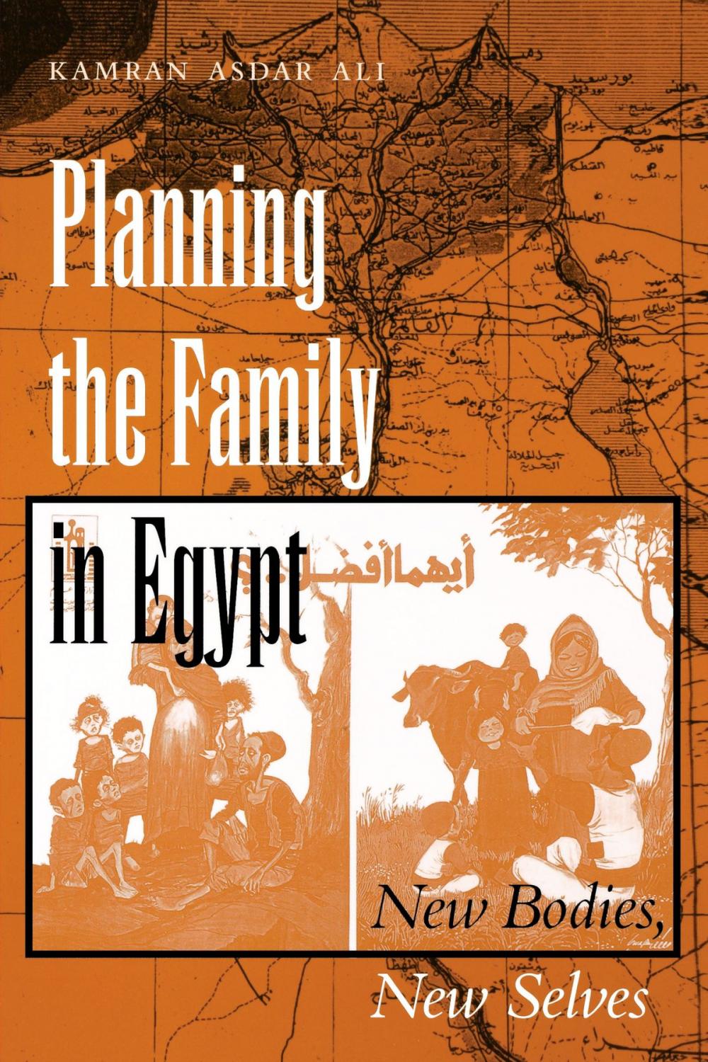 Big bigCover of Planning the Family in Egypt