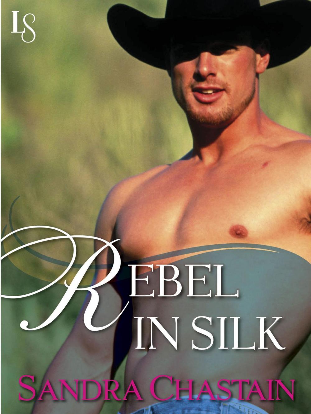 Big bigCover of Rebel in Silk