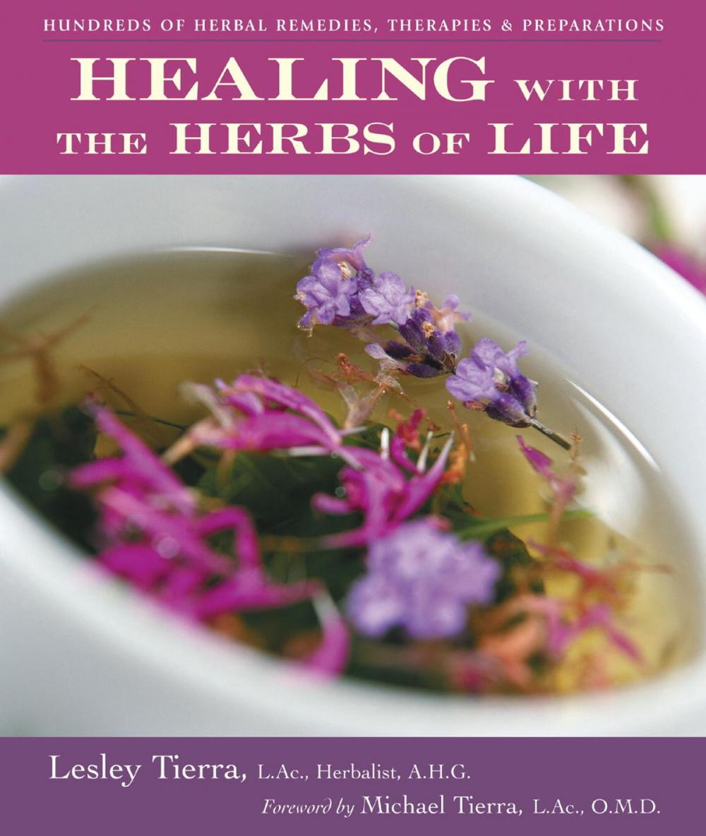 Big bigCover of Healing with the Herbs of Life