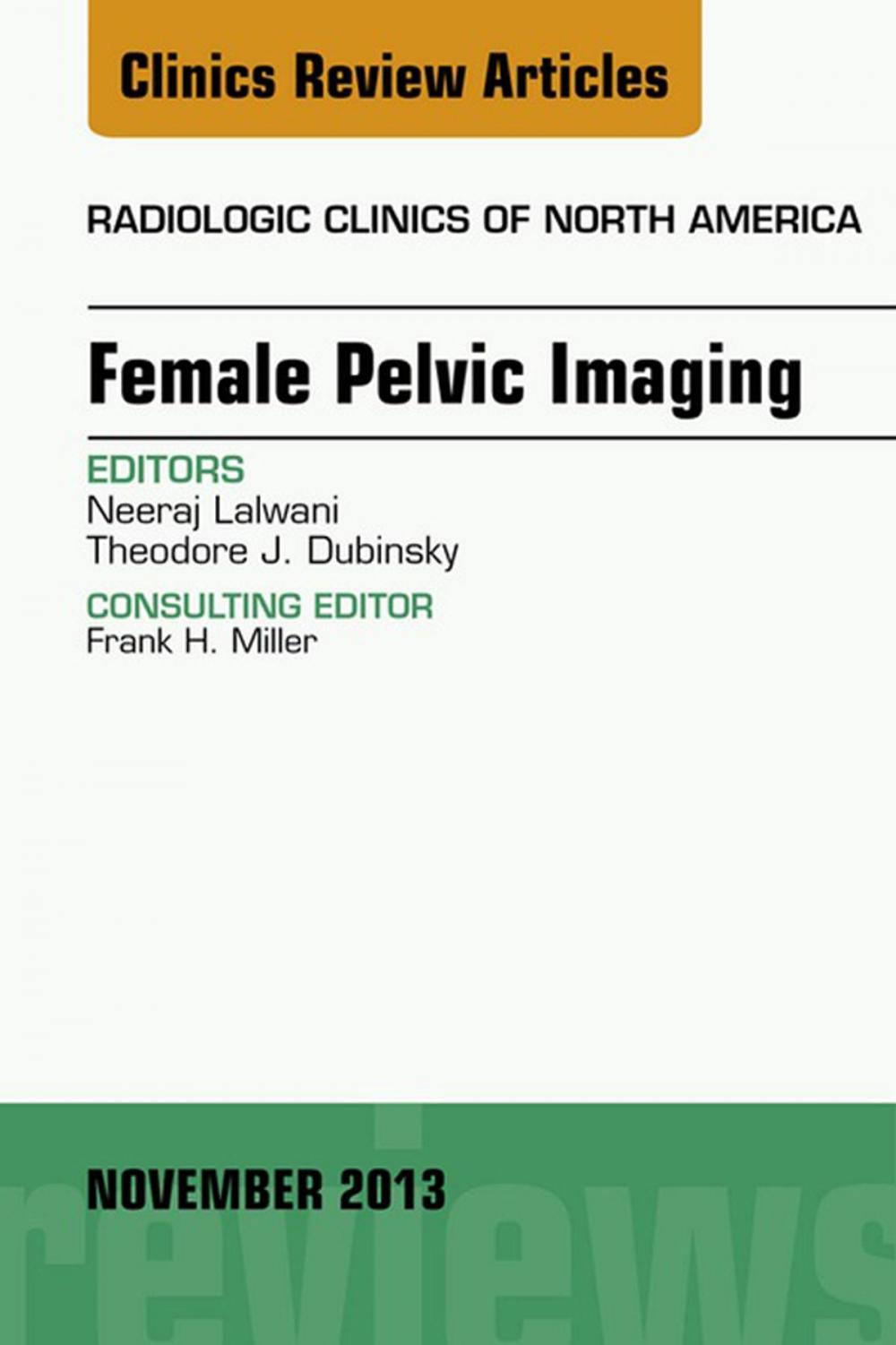 Big bigCover of Female Pelvic Imaging, An Issue of Radiologic Clinics of North America, E-Book