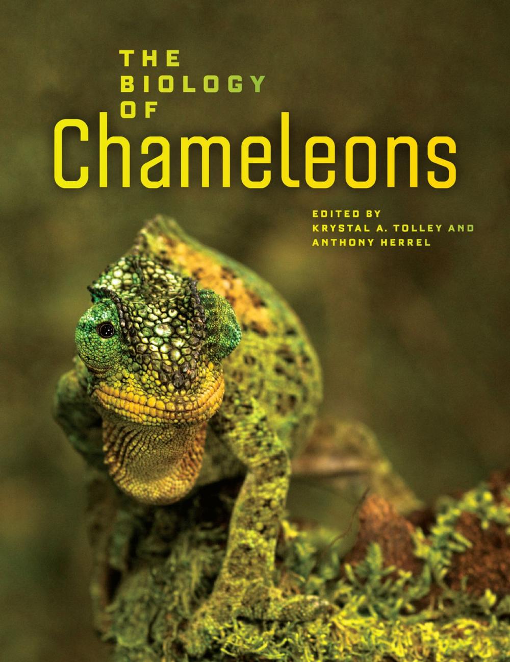 Big bigCover of The Biology of Chameleons