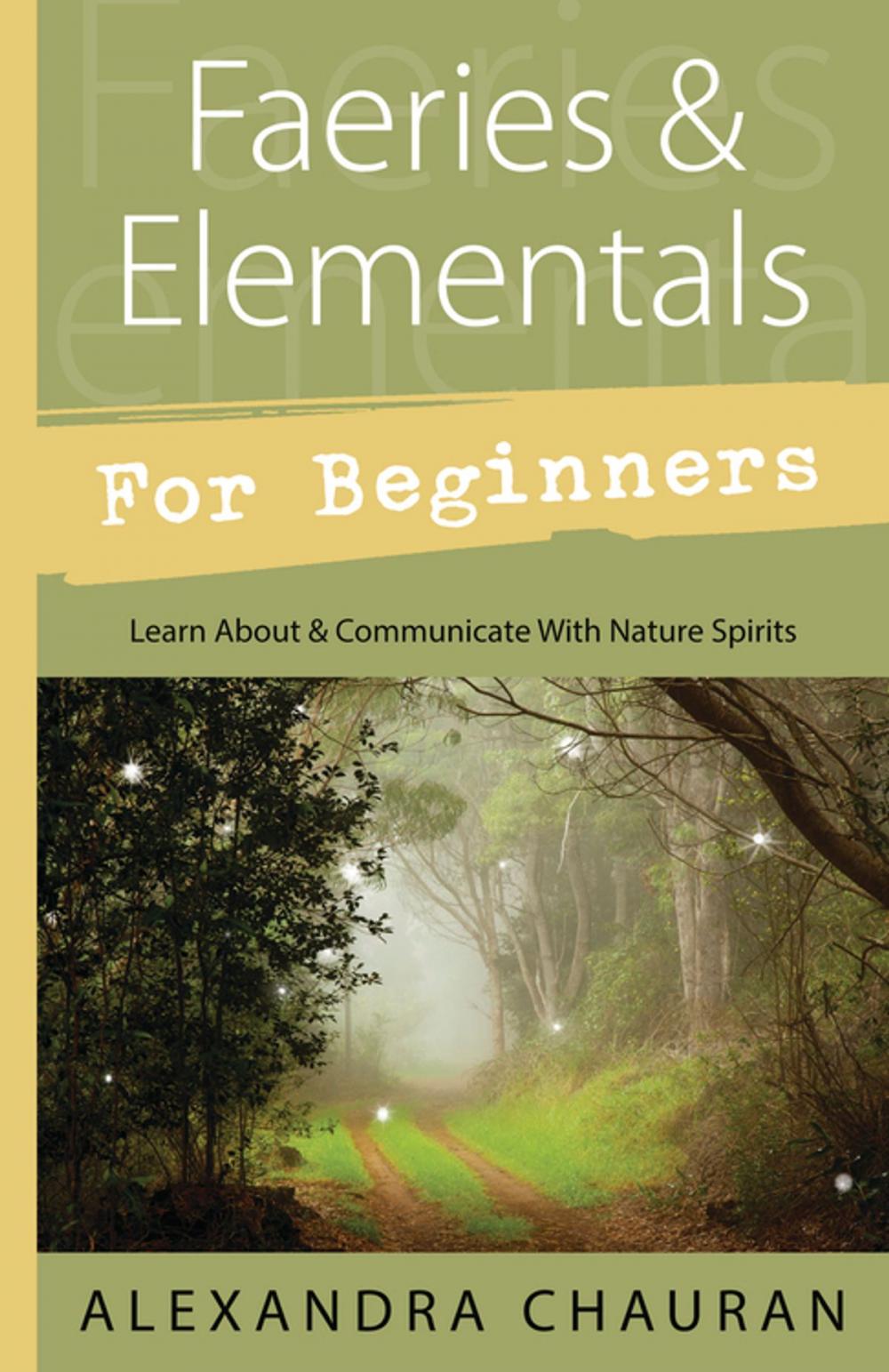 Big bigCover of Faeries & Elementals for Beginners