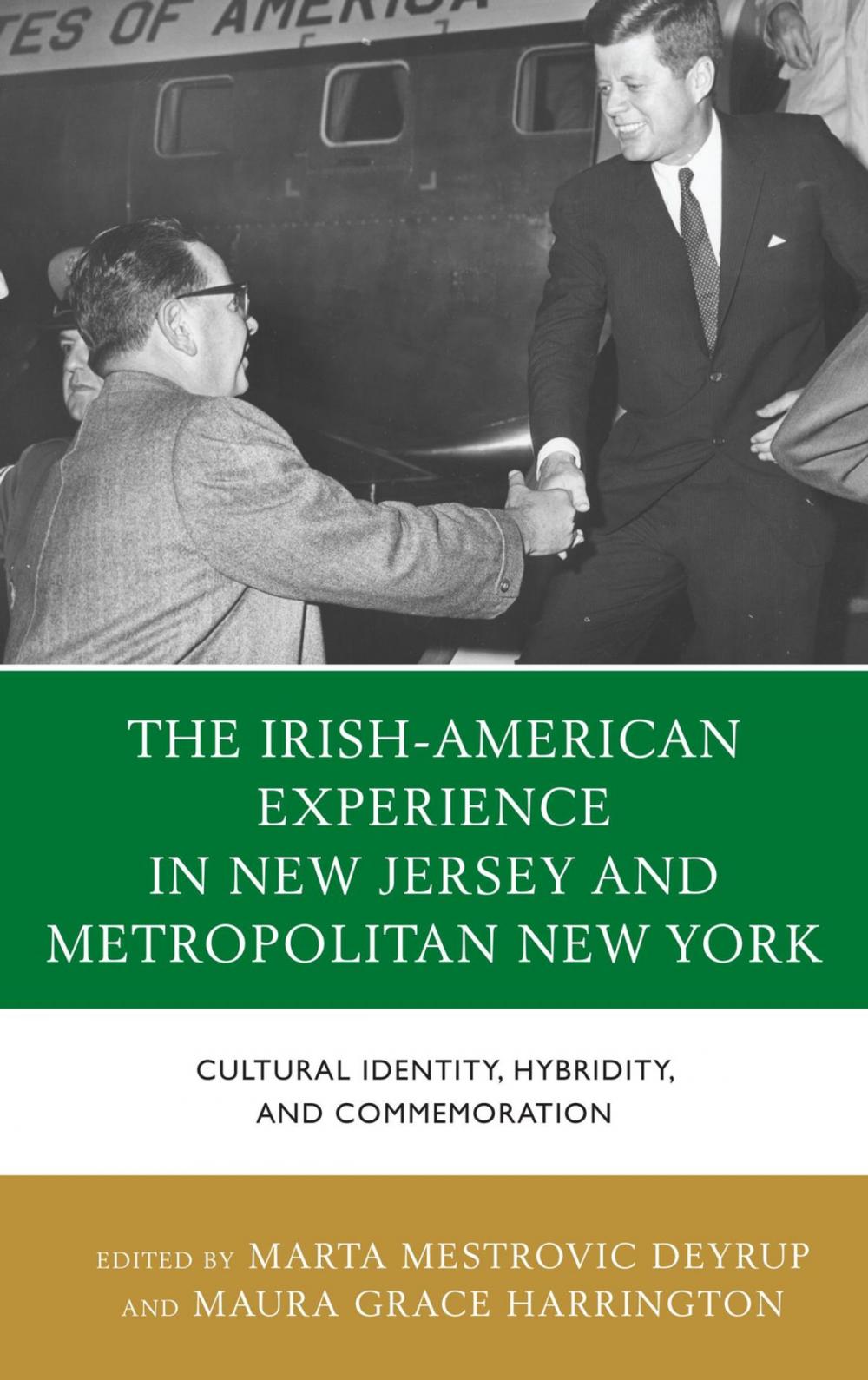 Big bigCover of The Irish-American Experience in New Jersey and Metropolitan New York